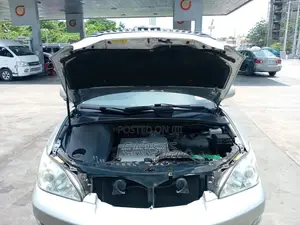 Lexus RX 2004 Silver