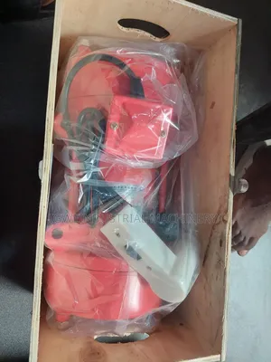 Vibrator Motor