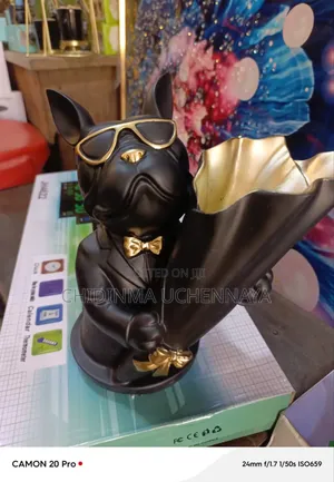 Creative Ornament for Living Room