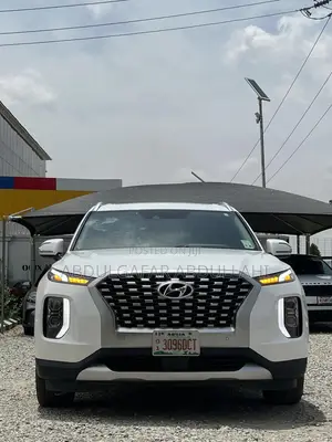 Hyundai Palisade Calligraphy 2021 White
