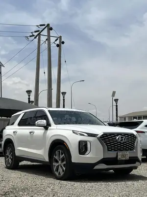 Hyundai Palisade Calligraphy 2021 White