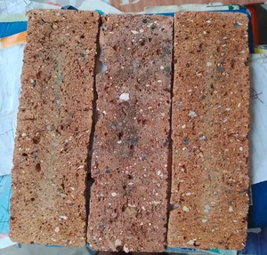 Quality South African Bricks – Best for Fencing Building Walls