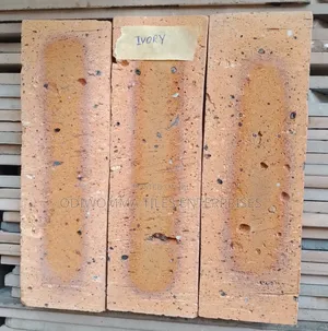 Luxury South African Bricks – Elegant Finish for Modern Homes