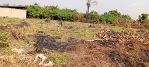 Six and Half Acres of Land at Orimerunmu Oniyanrin via Olowotedo