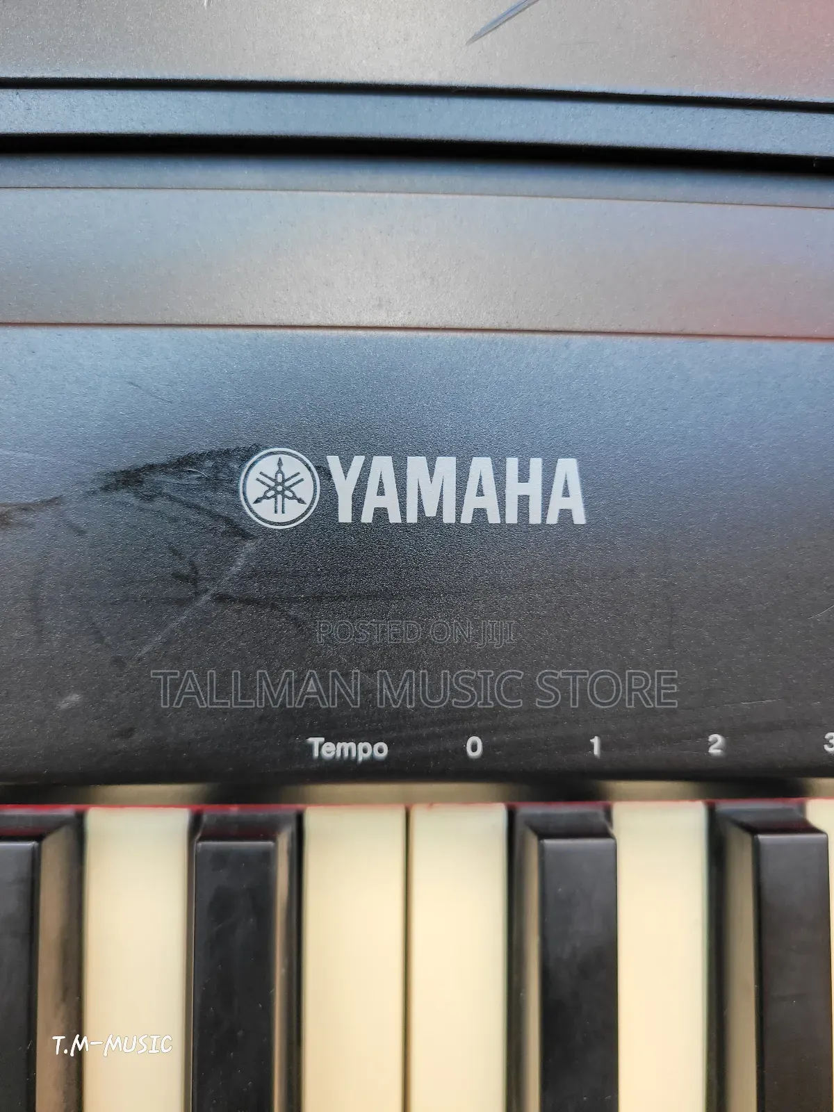 Yamaha P95