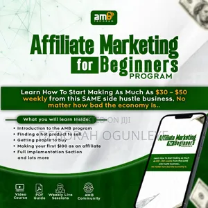 An Online Course That Teaches Newbies How to Make Money