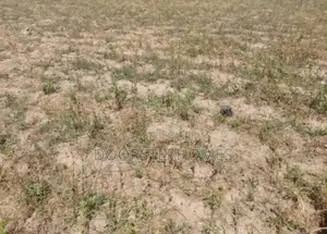 236sqm Residential Land for Sale in Wawa