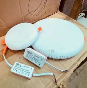 Led Ceiling Light