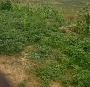 2596.38sqm Residential Land for Sale in Kyami