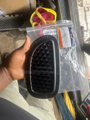 Fog Lamp Net for Gla 250