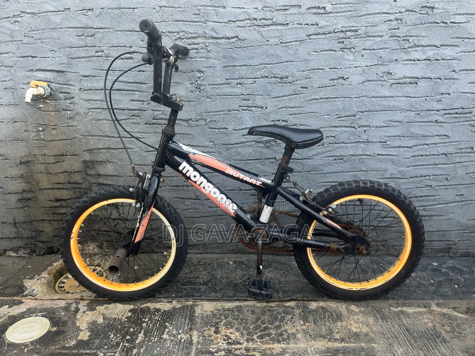 Small Size and Big Size Bicycle