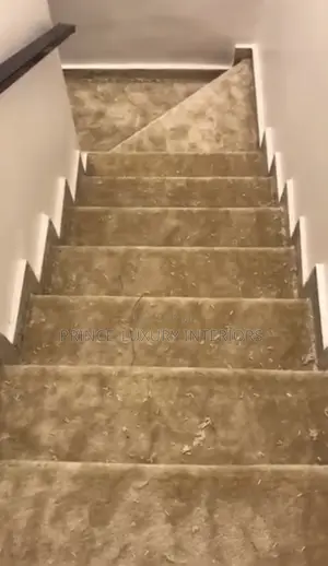Rug Thick Flooring Carpet