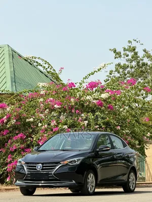 New Changan Alsvin 2025 Black