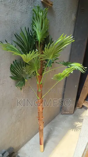 Leaf Plant Available as Seen