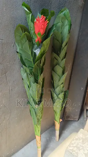 Palm Leaf Available as Seen