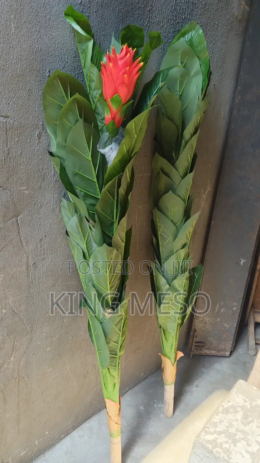 Palm Leaf Available as Seen