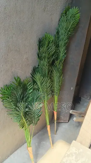 Single Palm Available as Seen