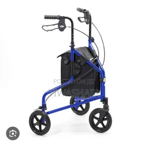 Tri Wheel Elder Movement Aid
