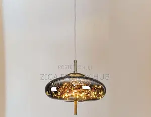 Luxurious Interior Pendant Light
