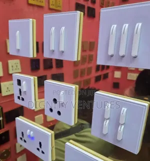 Switches and Socket