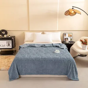 Double Sided Warm Solid Skin Friendly Fur Velvet Blanket/Duvet