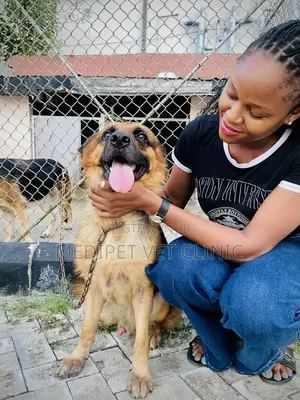 Veterinary Doctor