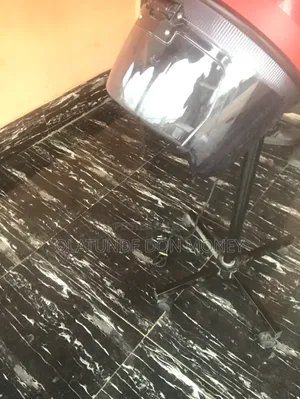 Equator Hair Dryer