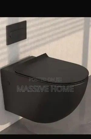 Concealed Wc