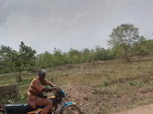 1 Acre of Land