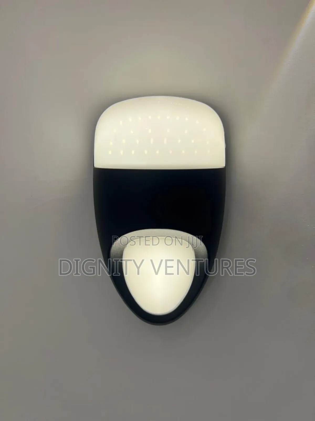 Luxuriant Wall Lamp