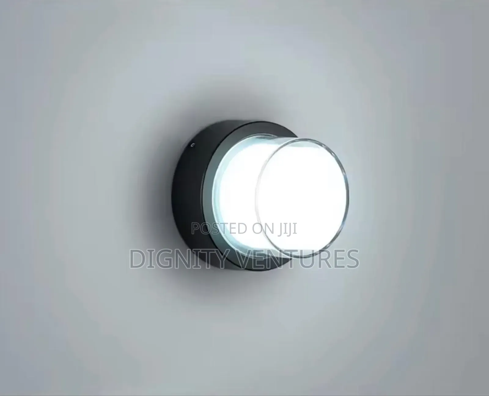 Luxuriant Wall Lamp