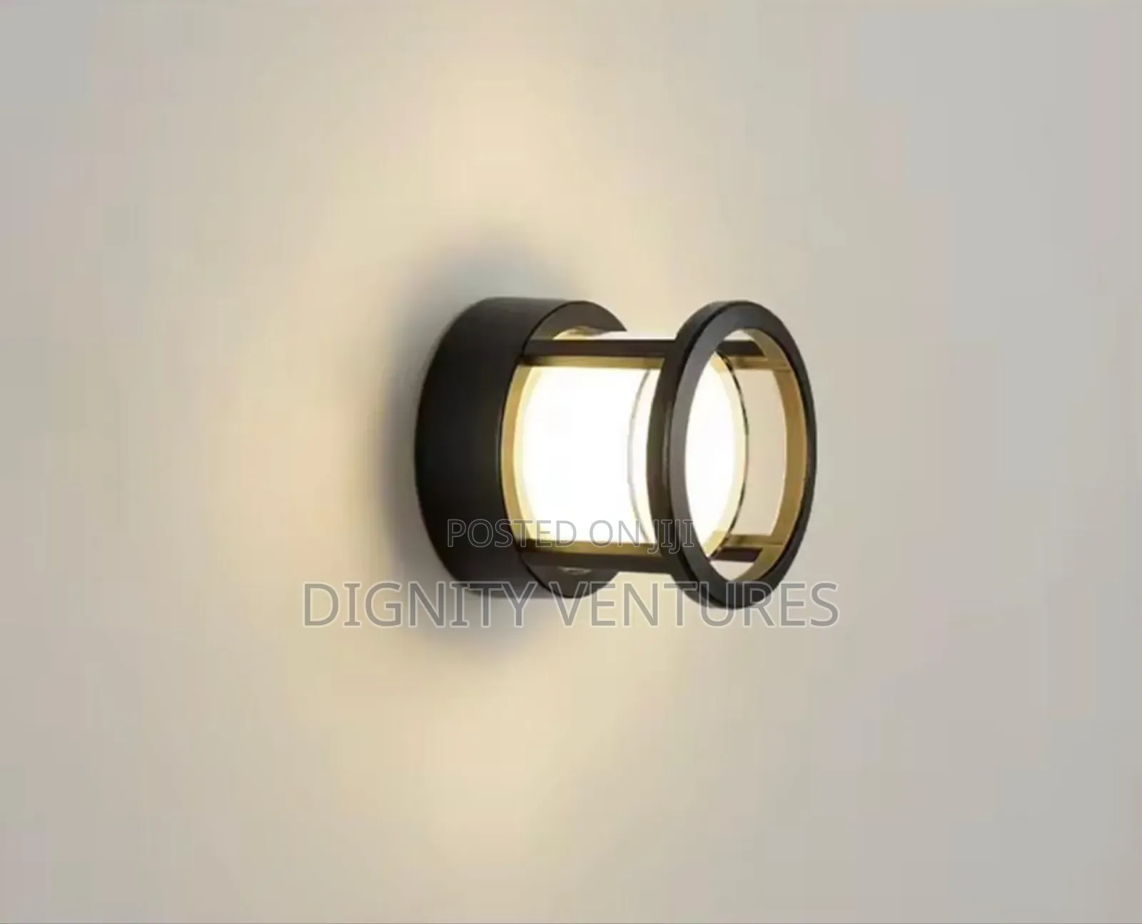 Luxuriant Wall Lamp