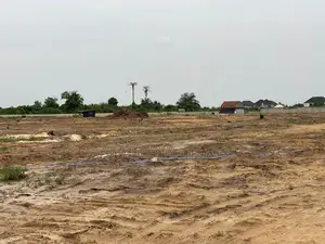 Edo Mega City