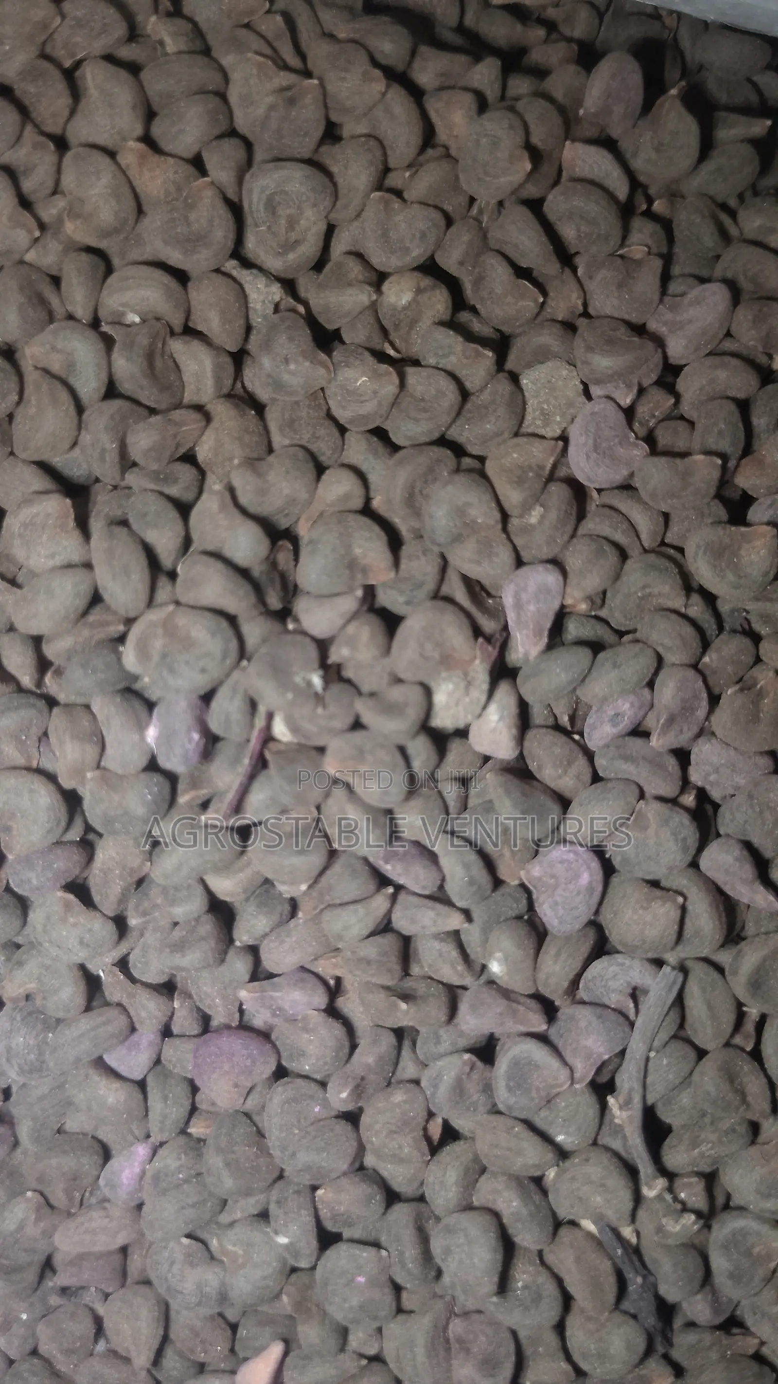 Zobo Seed 1kg Pack