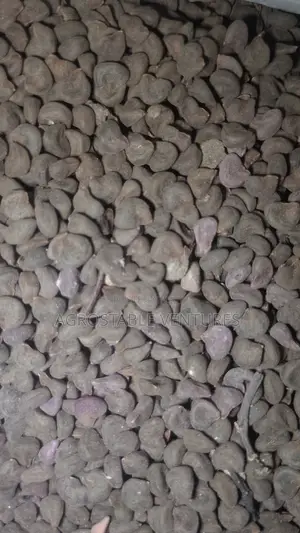 Zobo Seed 1kg Pack