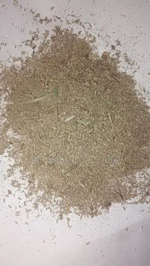 Mombasa Grass Seed