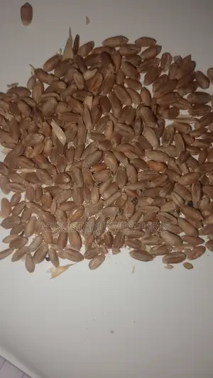 Wheat 1 Kg Pack