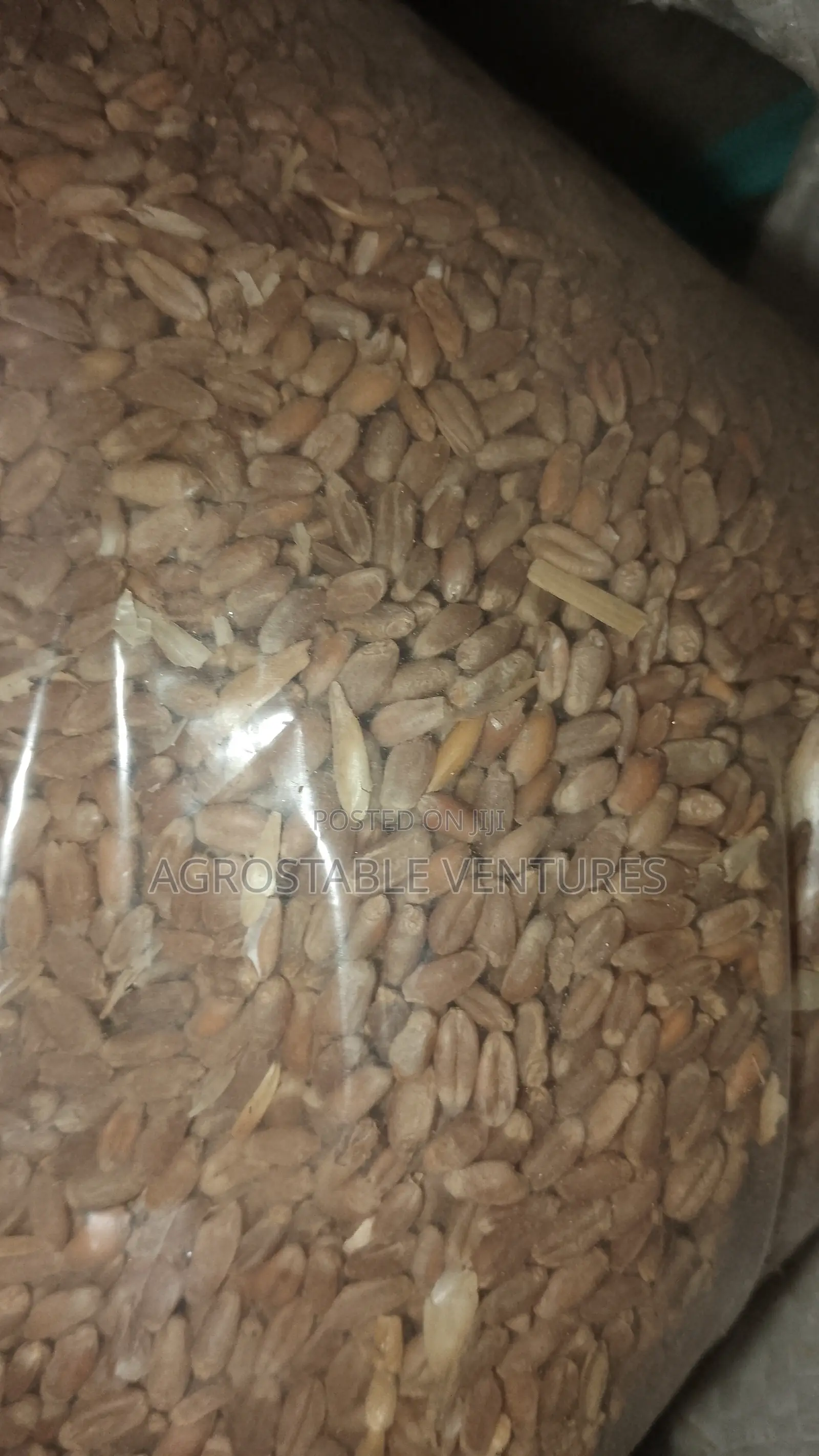 Wheat 1 Kg Pack