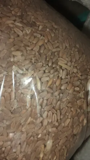 Wheat 1 Kg Pack