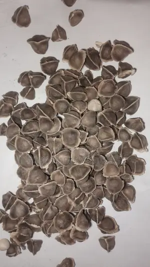 Moringa Seed