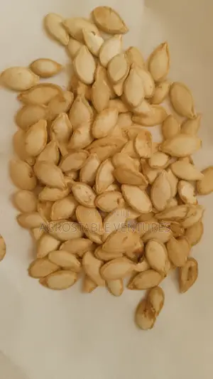 Pumkin Seed 1kg