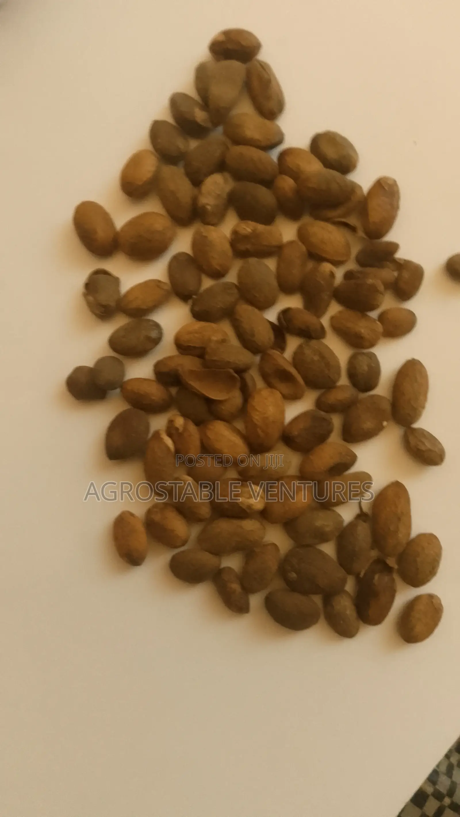 Miracle Seed