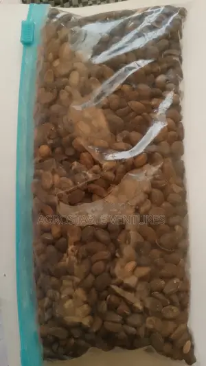 Miracle Seed