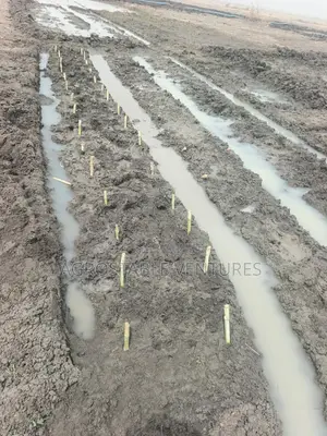 Magic Grass Cutting