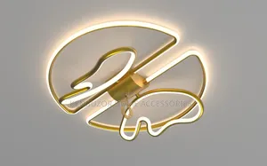 500mm Modern Design Beautiful Ceiling Fitting Flush Light