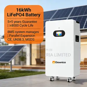 Dawnice 16kwh 51.2v 314ah Lithium Energy: Off-Grid Expert