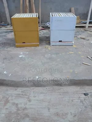 Langstroth Modern Hive