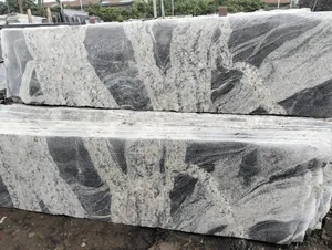 Viscon White Granite, a Natural Stone Slab Used for Countertops
