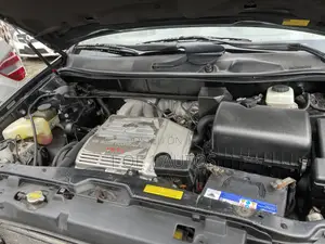Lexus RX 300 2WD 2002 Gray