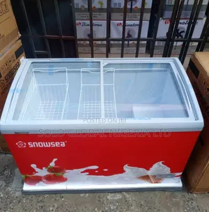 Snowsea Ice Cream Freezer 350l